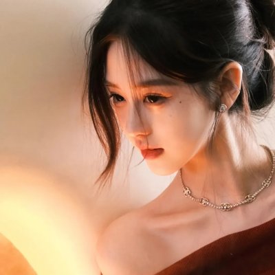 鬣狗之路